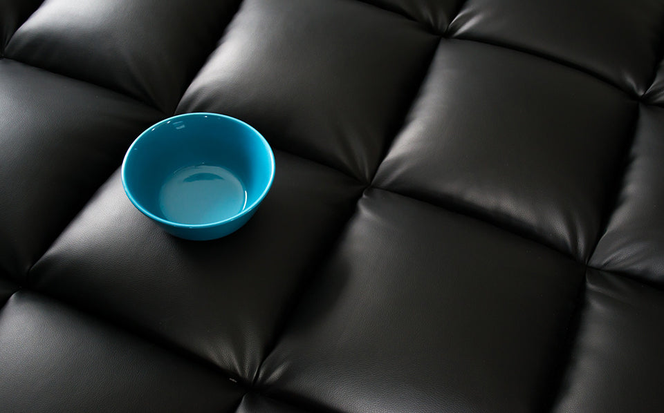 How to protect leather furniture
