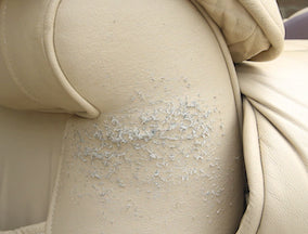 How to repair cat scratches on leather