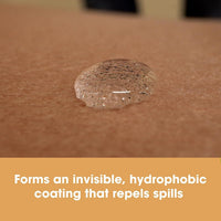 Carpet & Upholstery Protector