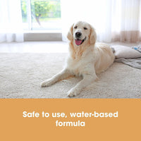 Carpet & Upholstery Protector