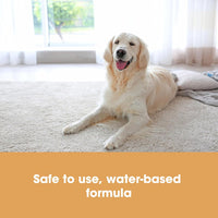 Carpet & Upholstery Care Kit