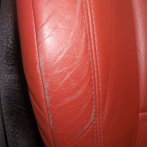 Scuffs/Scratches on Non-Absorbent Leather (Small)