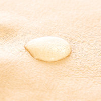 Protected Leather Repelled Stain